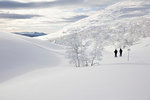 Men skiing