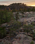 Trees on rocks at sunset in Skuleskogen National Park, Sweden