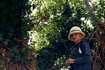 Boy wearing sun hat amongst tree branches