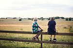 Boys sitting on fence in front of pasture