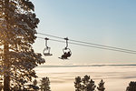 Ski lift by tree