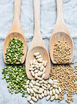 Still life of three wooden spoons green lentils, lima beans and pearl barley, overhead view