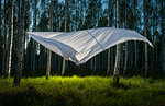 White sheet blowing in wind in between birch trees at night, Tingstäde, Gotlands Lan, Sweden