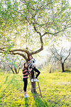 Girl and her sister holding a cute golden retriever puppy on tree ladder in sunlit orchard, portrait, Scandicci, Tuscany, Italy