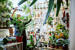 Proud owner tending to plants in nursery