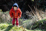 Boy exploring national park, Llanaber, Gwynedd, United Kingdom