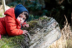 Boy lying on fallen tree trunk in forest