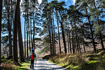 Boy exploring national park, Llanaber, Gwynedd, United Kingdom