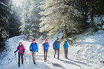 Family hiking in snowy woods