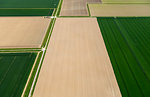 Fields with roads and ditches between them in spring, aerial view, Netherlands