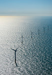 Row of wind turbines in offshore wind farm in the Borselle windfield, aerial view, Domburg, Zeeland, Netherlands