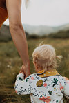 Mother holding toddler daughter's hand in rural valley, cropped rear view, Mineral King, California, USA