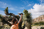 Man exploring nature reserve, Red Rock Canyon, Cantil, California, United States