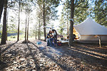 Happy, affectionate lesbian couple relaxing, drinking coffee at sunny campsite in woods