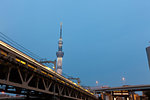 Tokyo Sky Tree at dusk