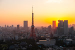 Tokyo Tower and skyscrapers in Minato Ward