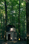 Cabin in forest