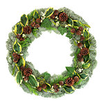 Natural winter and Christmas wreath with snow covered spruce fir, pine cones, mistletoe, cedar and ivy leaves isolated on white background.