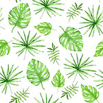 Watercolor summer tropical seamless pattern with green palm leaves on a white background