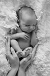 Portrait of newborn baby in the hands of parents