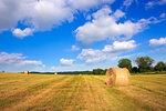 Agriculture field with blue sky and hay bales. Summer nature landscape.