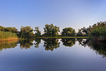 landscape in the Danube Delta, Romania, Europe