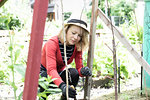 Mid adult woman planting in her garden, selective focus