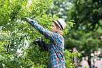 Mid adult woman pruning tree in her garden, side view
