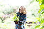 Mid adult woman preparing potted plant for her garden, brightly lit