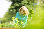 Mid adult woman tending plants in her garden