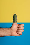 Studio shot of man's hand giving the thumbs up, the thumb is replaced by a cactus, against a yellow and blue background