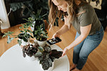 Woman taking photo of house plants with mobile phone