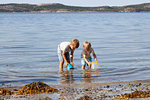 Brothers picking up seashells on beach