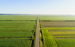 Old polders on sunny day, Eemnes, Utrecht, Netherlands