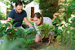 Couple gardening in backyard