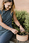 Woman gardener tending to seedlings