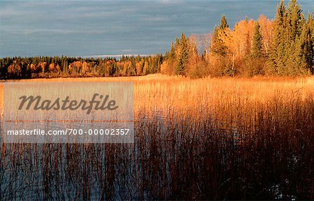 Parc National de Prince Albert, Saskatchewan, Canada