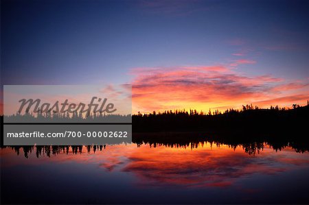 Silhouette der Bäume bei Sonnenaufgang Bow Valley Provincial Park Alberta, Kanada