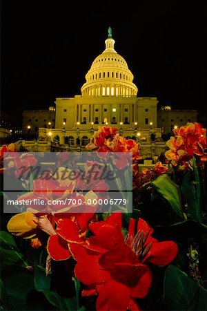 Capitol Building at Night Washington, DC, USA