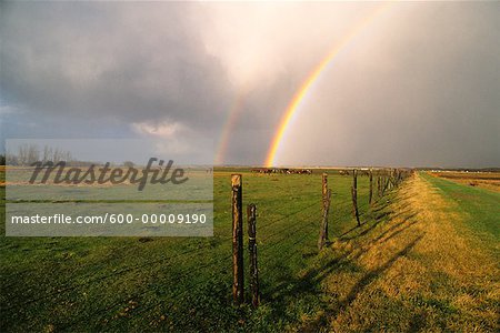 Rural Alberta, Canada