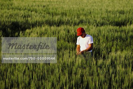 Agriculteur dans le champ