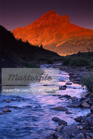 Persimmon Creek et gamme Willmore Wilderness (Alberta), Canada