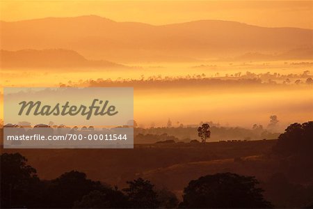 Morning Mist at Lowood Queensland, Australia