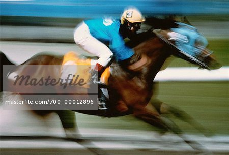 Jockey Racing a Thoroughbred Horse
