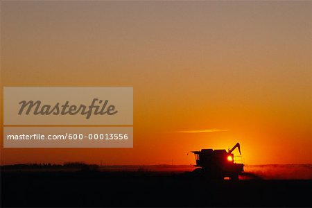 Silhouette de moissonneuses-batteuses au coucher du soleil (Alberta), Canada