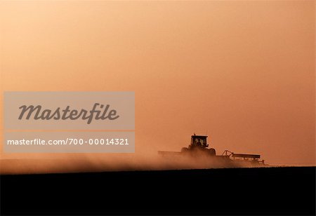 Spring Plowing at Sunset Saskatchewan, Canada