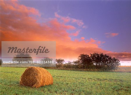 Hay Bale in Field at Sunset Near Wetaskiwin, Alberta, Canada