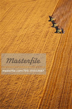 Aerial View of Harvesting Wheat Saskatchewan, Canada