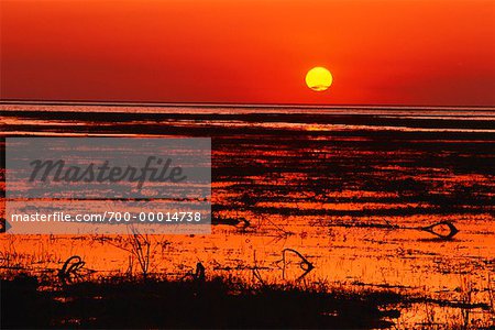 Coucher de soleil sur la Zambie Chunga Lagoon Lochinvar National Park