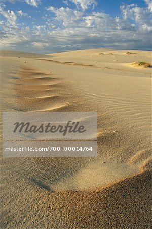 Dunes de sable près de l'océan Atlantique, en Afrique du Sud